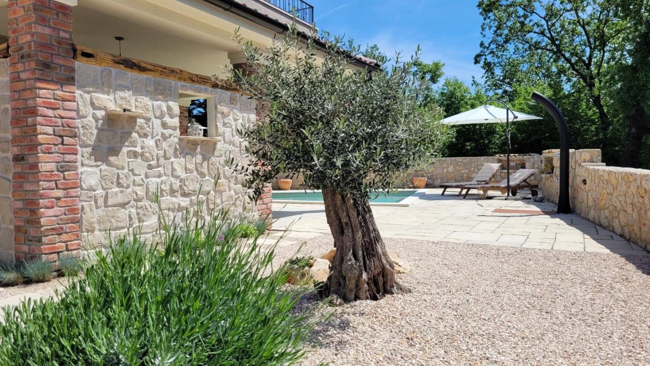 Villa Alara - Charming Villa With Heated Swimming Pool Milohnici Kültér fotó